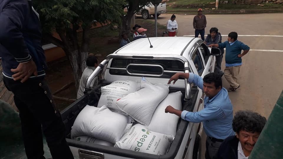Distribución de semilla de trigo en organizaciones del Valle Central de Tarija