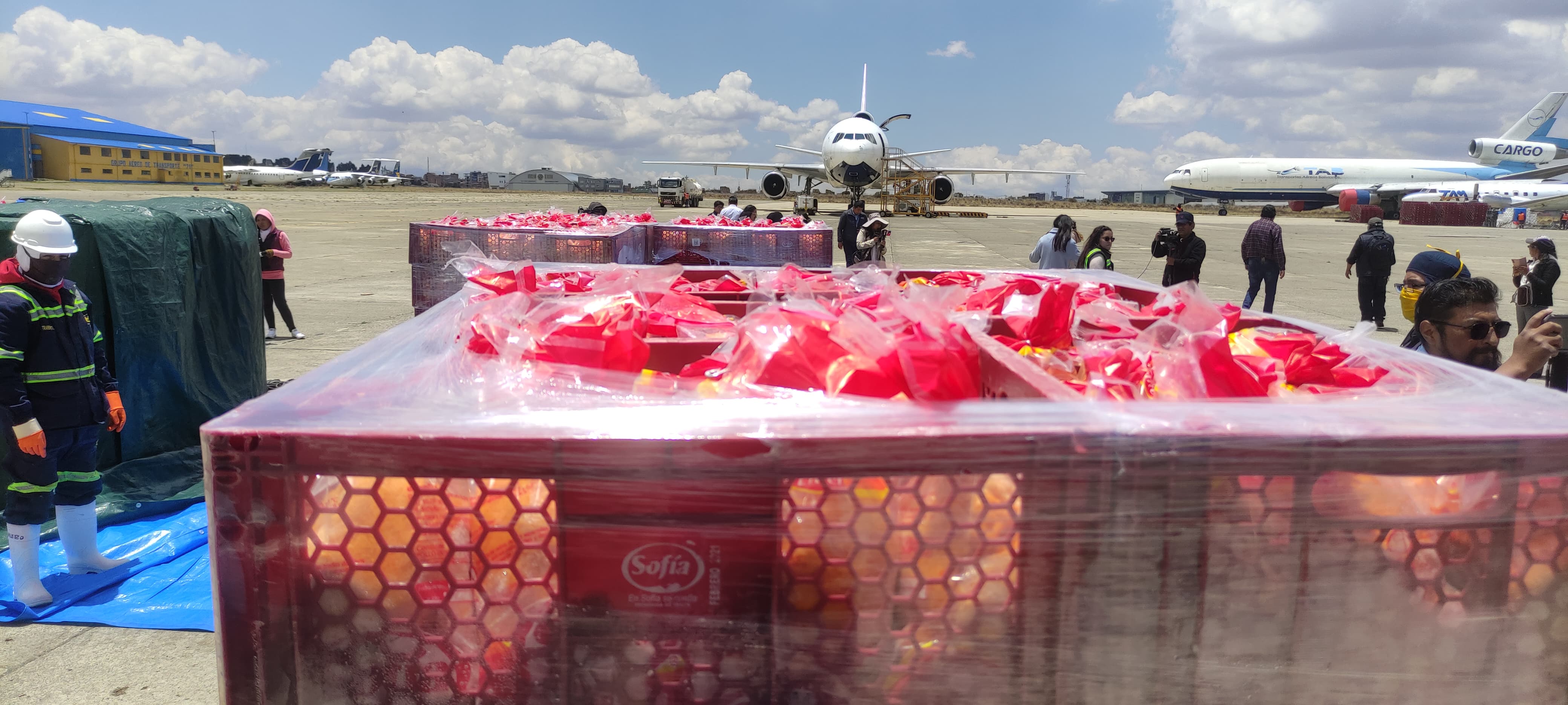 El puente aéreo establecido por el Gobierno de Bolivia, ya trasladó a La Paz más de 500 mil kilos de carne de pollo